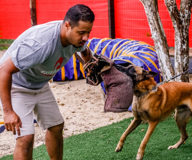 Hotel e Creche para Cachorros em Santos | São Vicente | Guarujá | Cubatão | Praia Grande | Bertioga | Estilo Dog